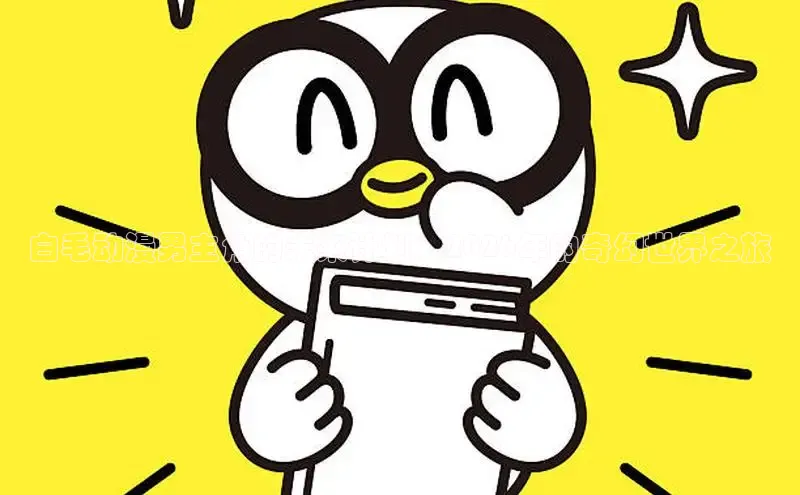 白毛动漫男主角的未来计划：2026年的奇幻世界之旅